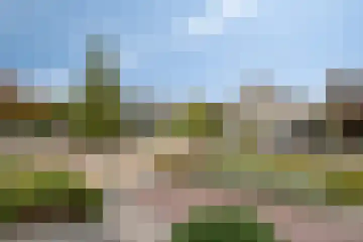 Breukkruid 2 Veenendaal thumbnail 33