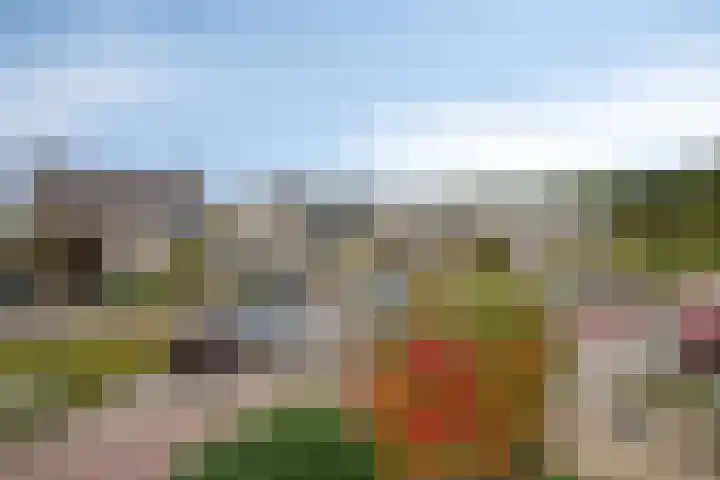 Breukkruid 2 Veenendaal thumbnail 34