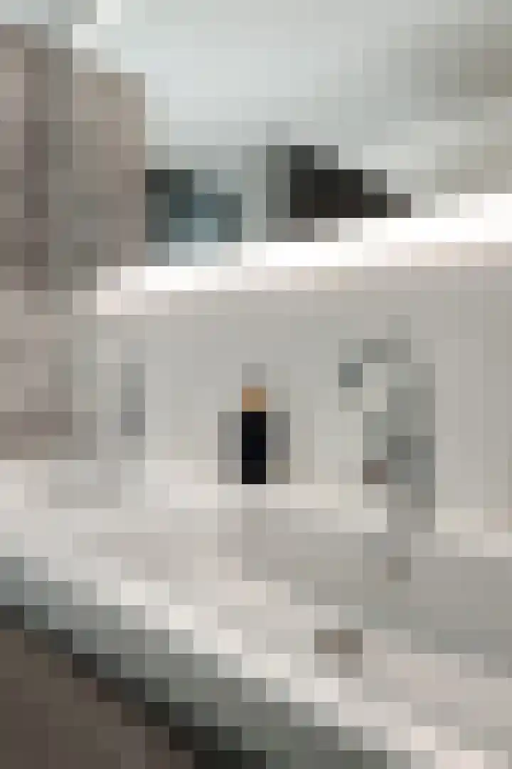 Breukkruid 2 Veenendaal thumbnail 37