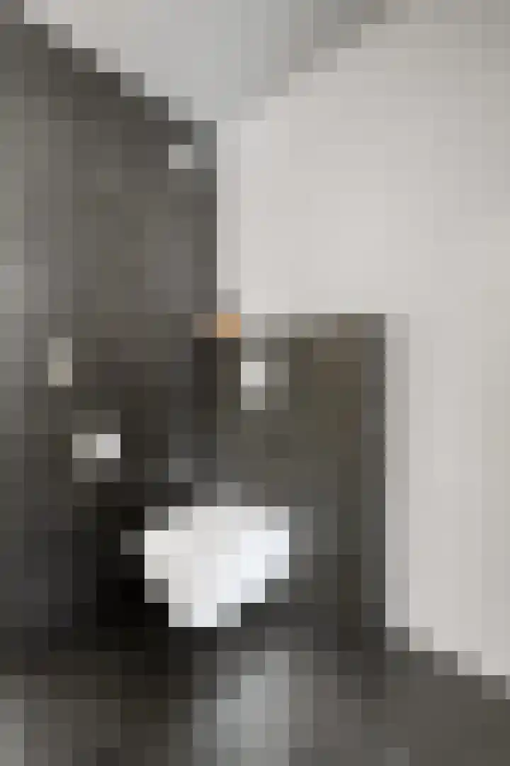 Breukkruid 2 Veenendaal thumbnail 39