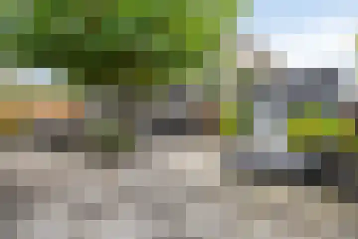 Breukkruid 2 Veenendaal thumbnail 4