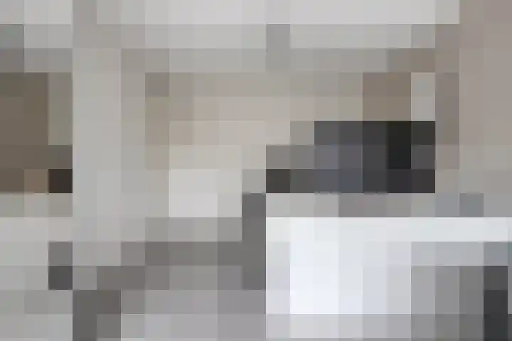 Breukkruid 2 Veenendaal thumbnail 42