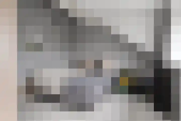 Breukkruid 2 Veenendaal thumbnail 46