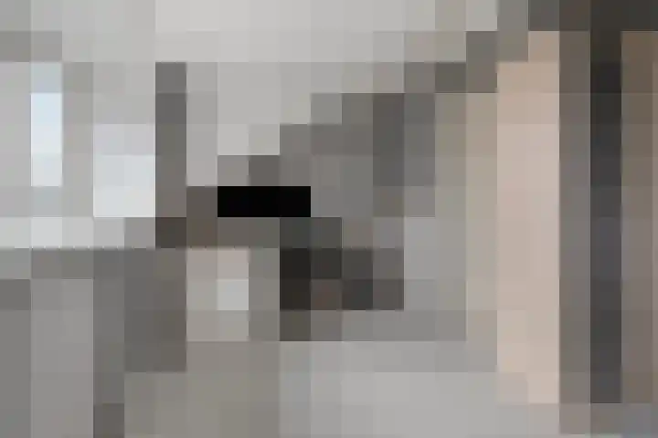 Breukkruid 2 Veenendaal thumbnail 48