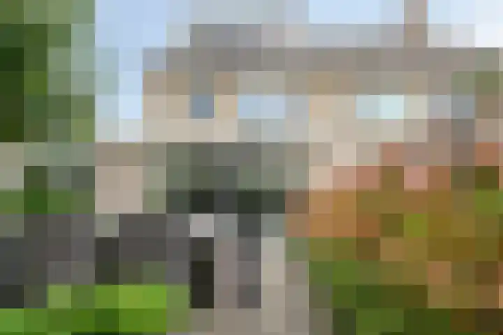 Breukkruid 2 Veenendaal thumbnail 5