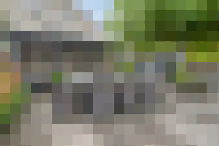 Breukkruid 2 Veenendaal thumbnail 53