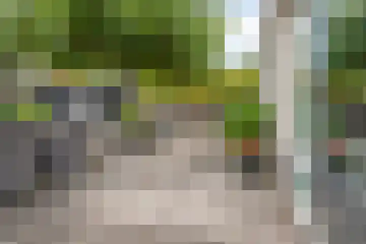 Breukkruid 2 Veenendaal thumbnail 54