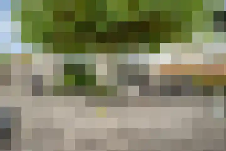 Breukkruid 2 Veenendaal thumbnail 55