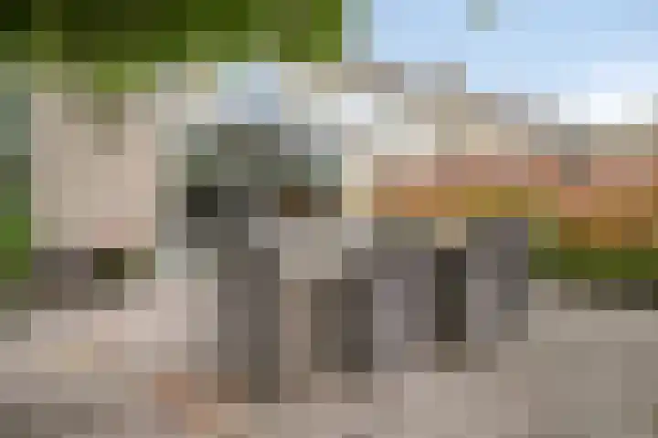 Breukkruid 2 Veenendaal thumbnail 56