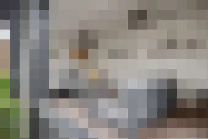 Breukkruid 2 Veenendaal thumbnail 57