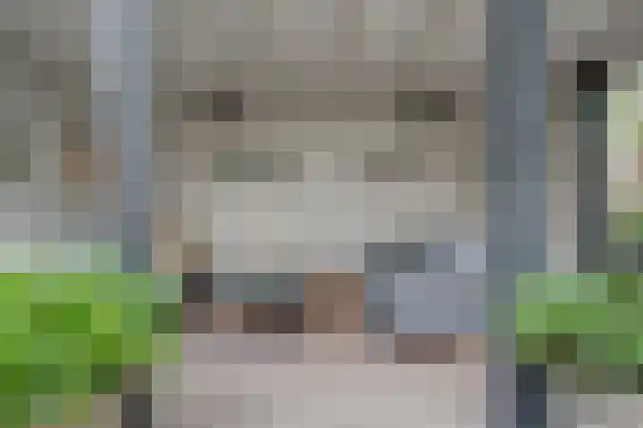 Breukkruid 2 Veenendaal thumbnail 58