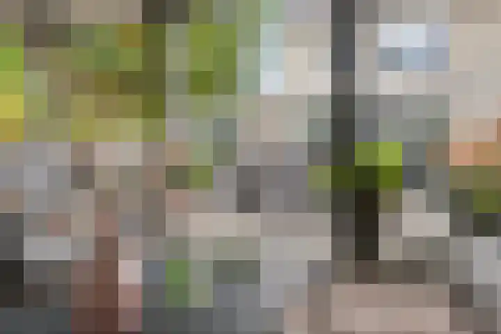 Breukkruid 2 Veenendaal thumbnail 59