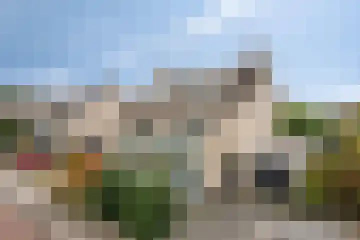 Breukkruid 2 Veenendaal thumbnail 6