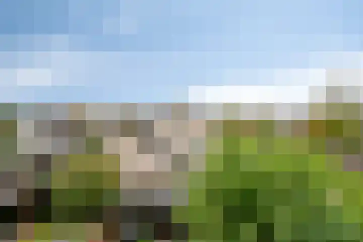 Breukkruid 2 Veenendaal thumbnail 60