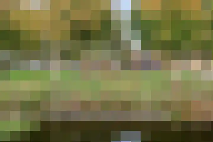 Breukkruid 2 Veenendaal thumbnail 61