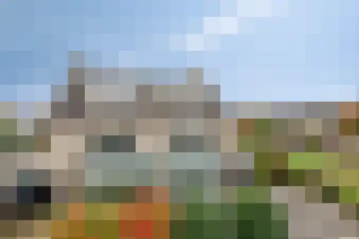 Breukkruid 2 Veenendaal thumbnail 62
