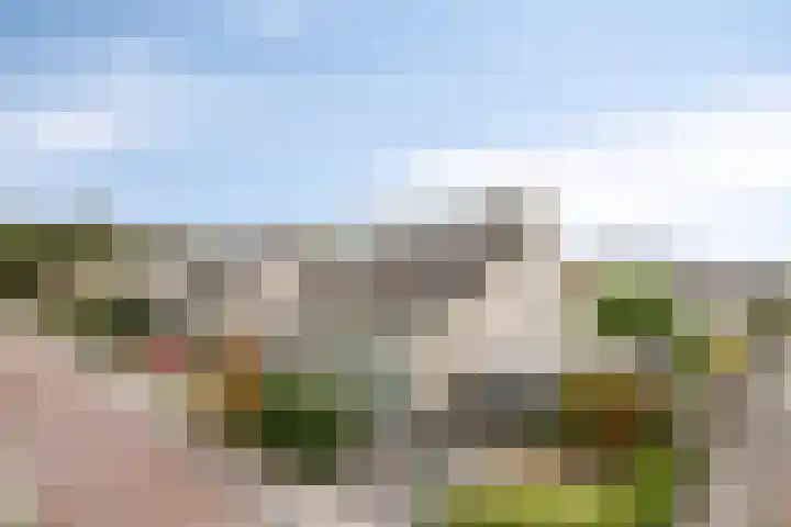 Breukkruid 2 Veenendaal thumbnail 63