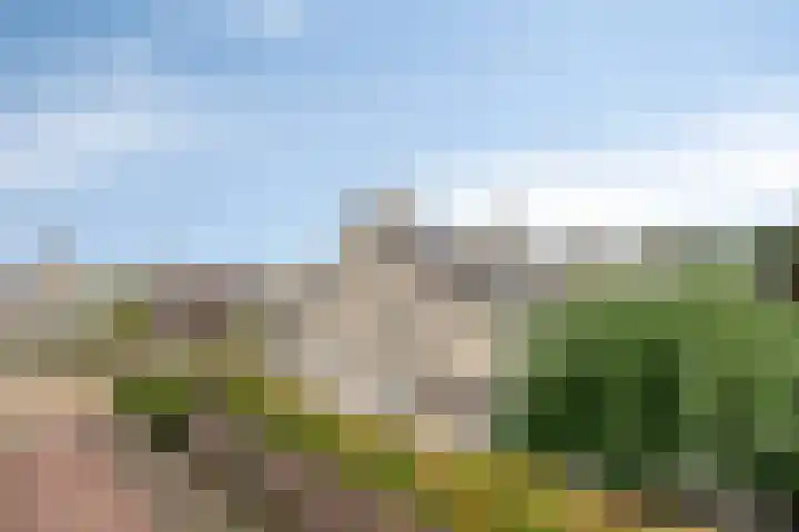 Breukkruid 2 Veenendaal thumbnail 64