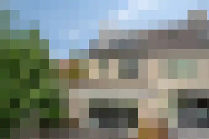 Breukkruid 2 Veenendaal thumbnail 65