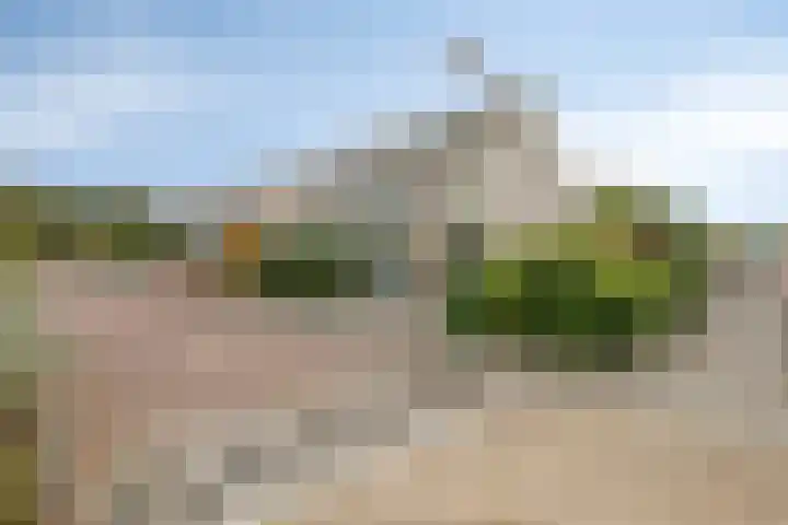 Breukkruid 2 Veenendaal thumbnail 66