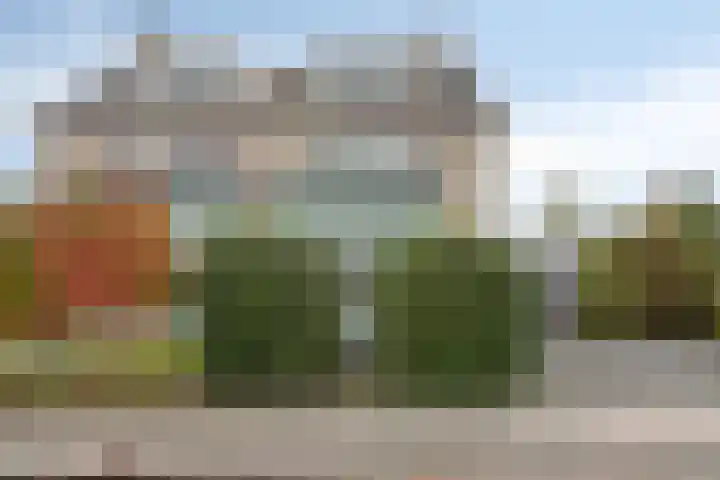 Breukkruid 2 Veenendaal thumbnail 67