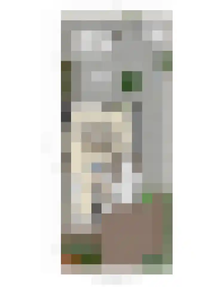 Breukkruid 2 Veenendaal thumbnail 74