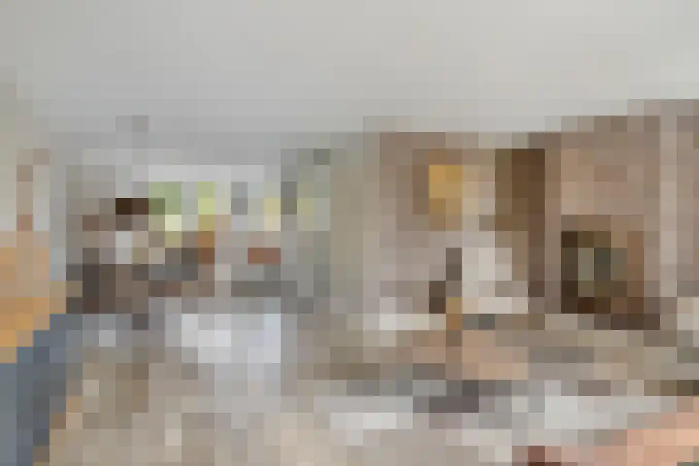 Breukkruid 5 Veenendaal thumbnail 11