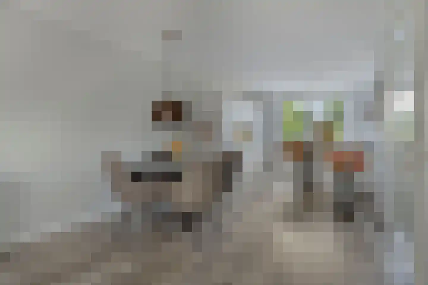 Breukkruid 5 Veenendaal thumbnail 12