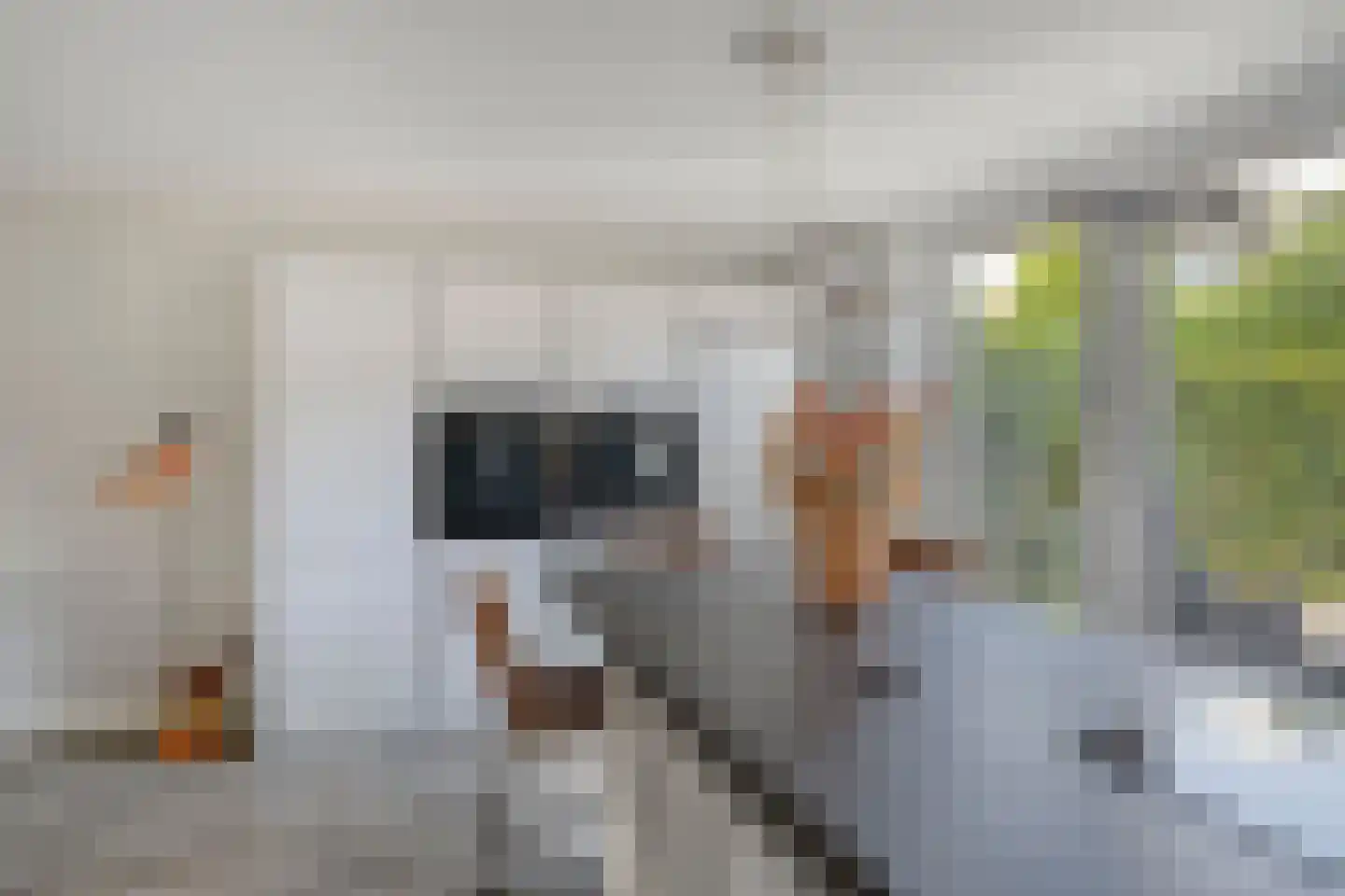 Breukkruid 5 Veenendaal thumbnail 13