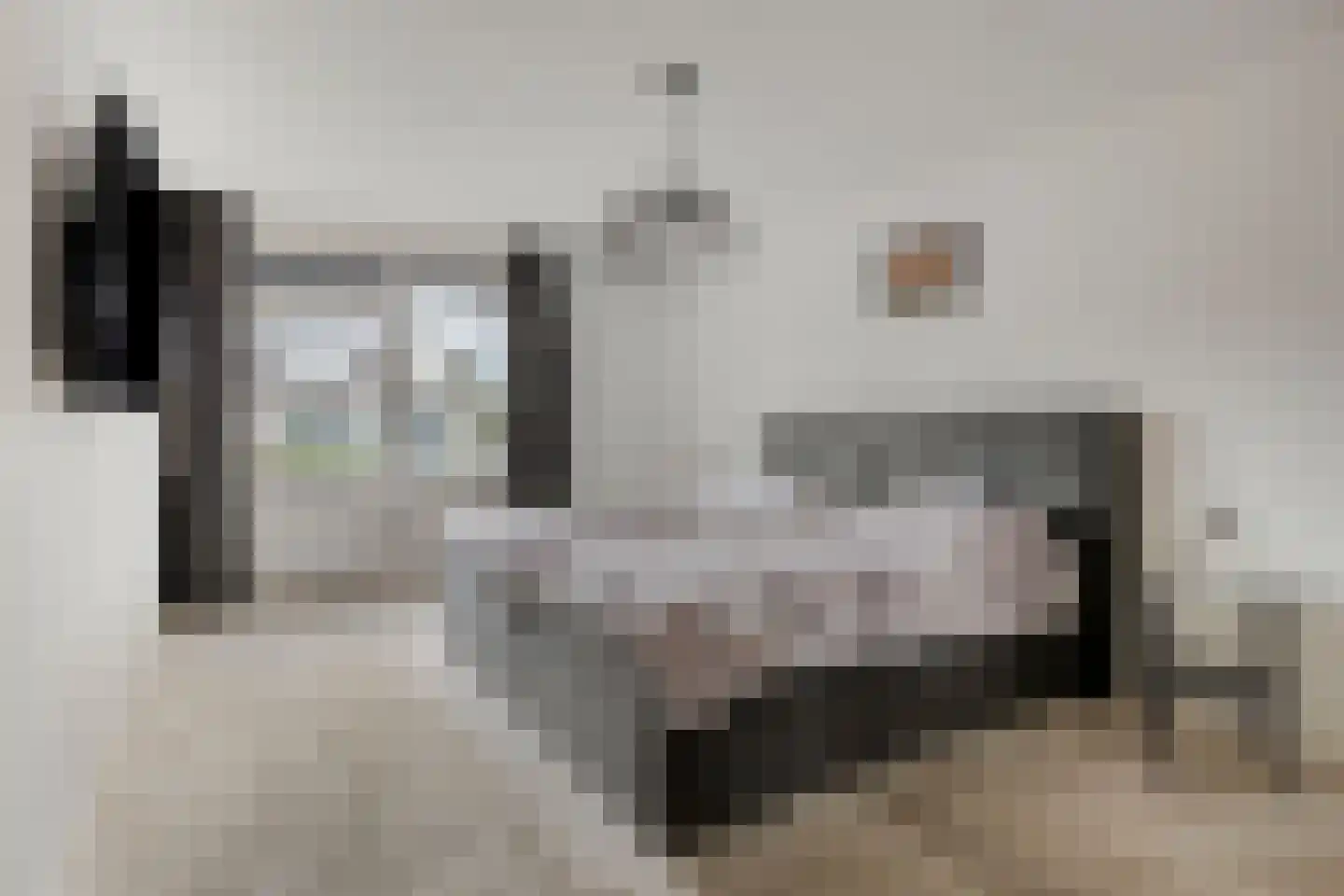 Breukkruid 5 Veenendaal thumbnail 18