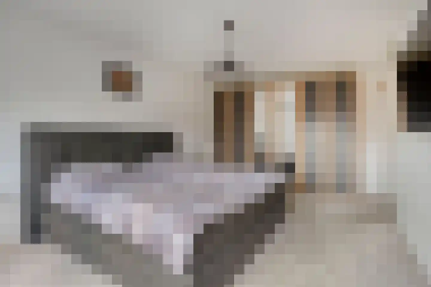 Breukkruid 5 Veenendaal thumbnail 19