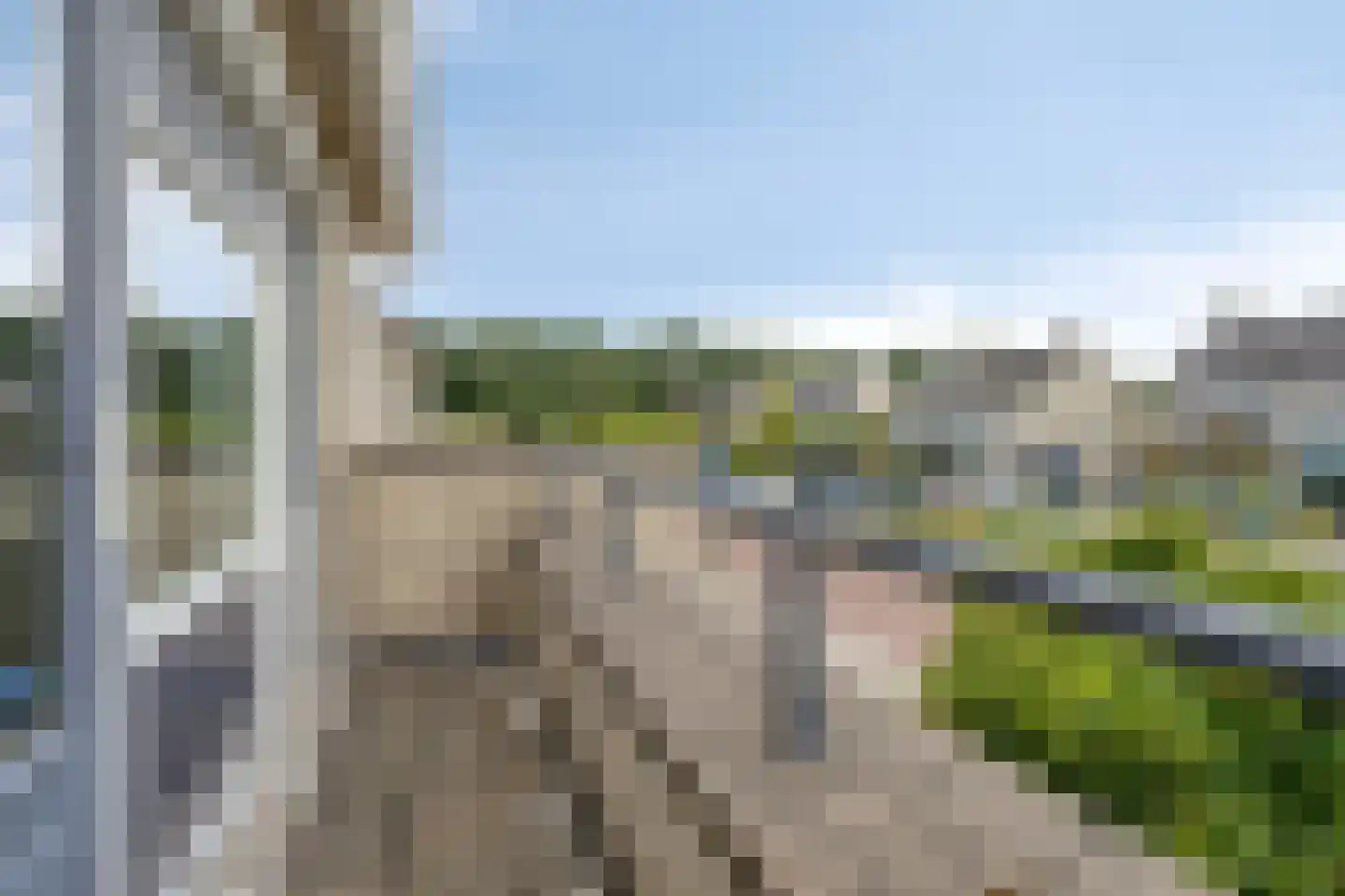Breukkruid 5 Veenendaal thumbnail 20