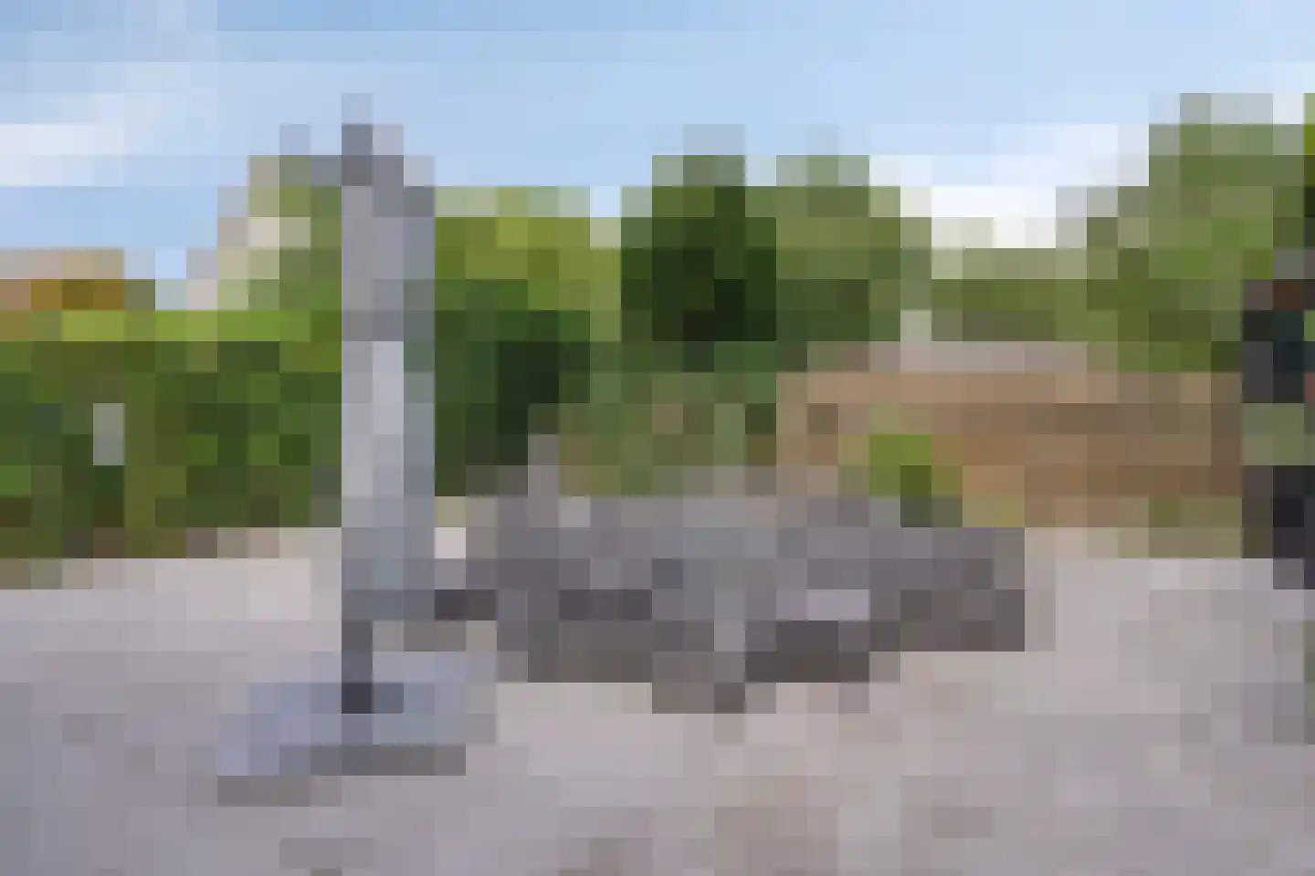 Breukkruid 5 Veenendaal thumbnail 29