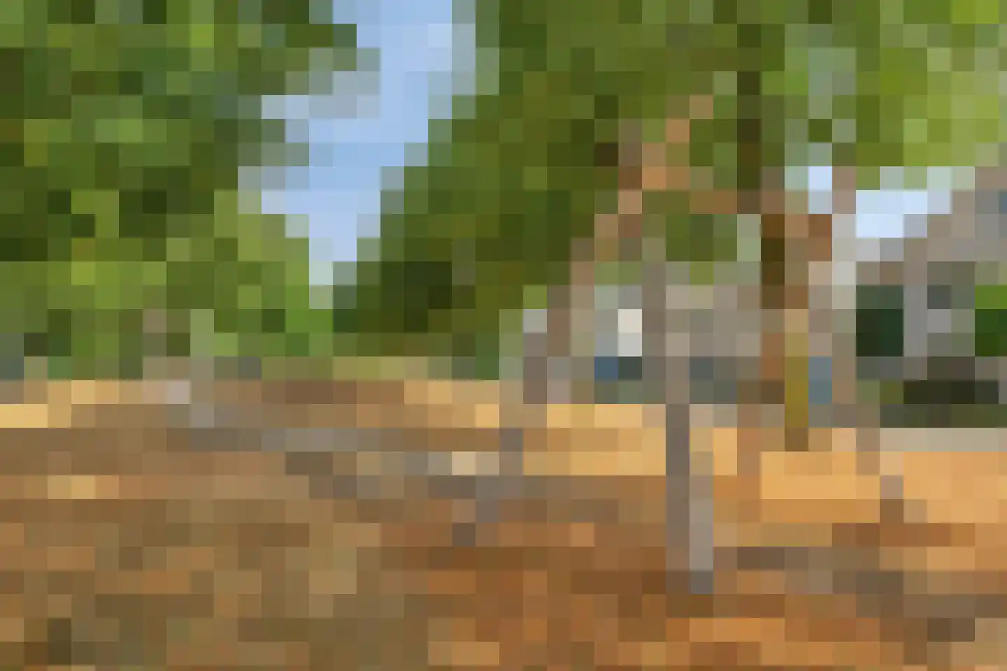 Breukkruid 5 Veenendaal thumbnail 31