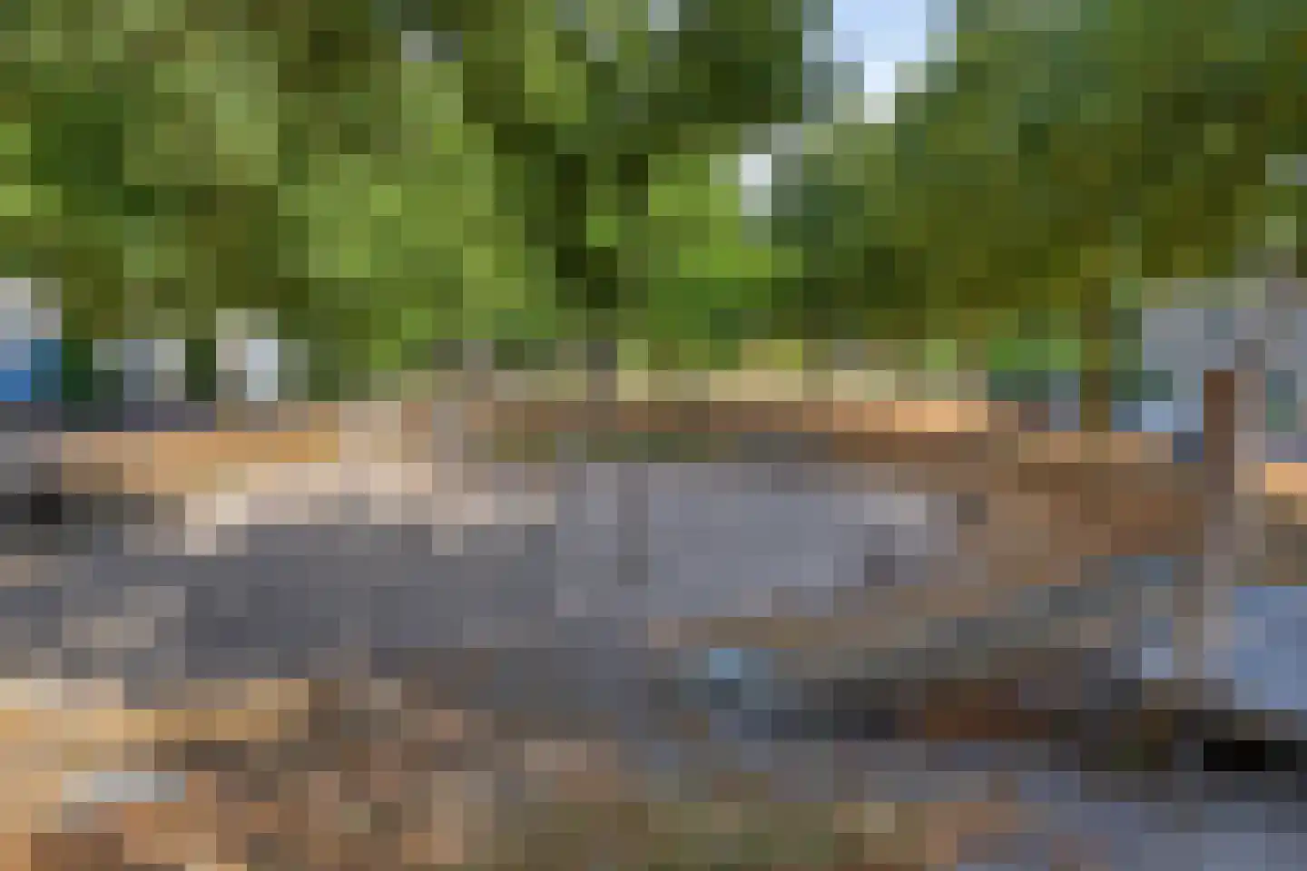Breukkruid 5 Veenendaal thumbnail 32