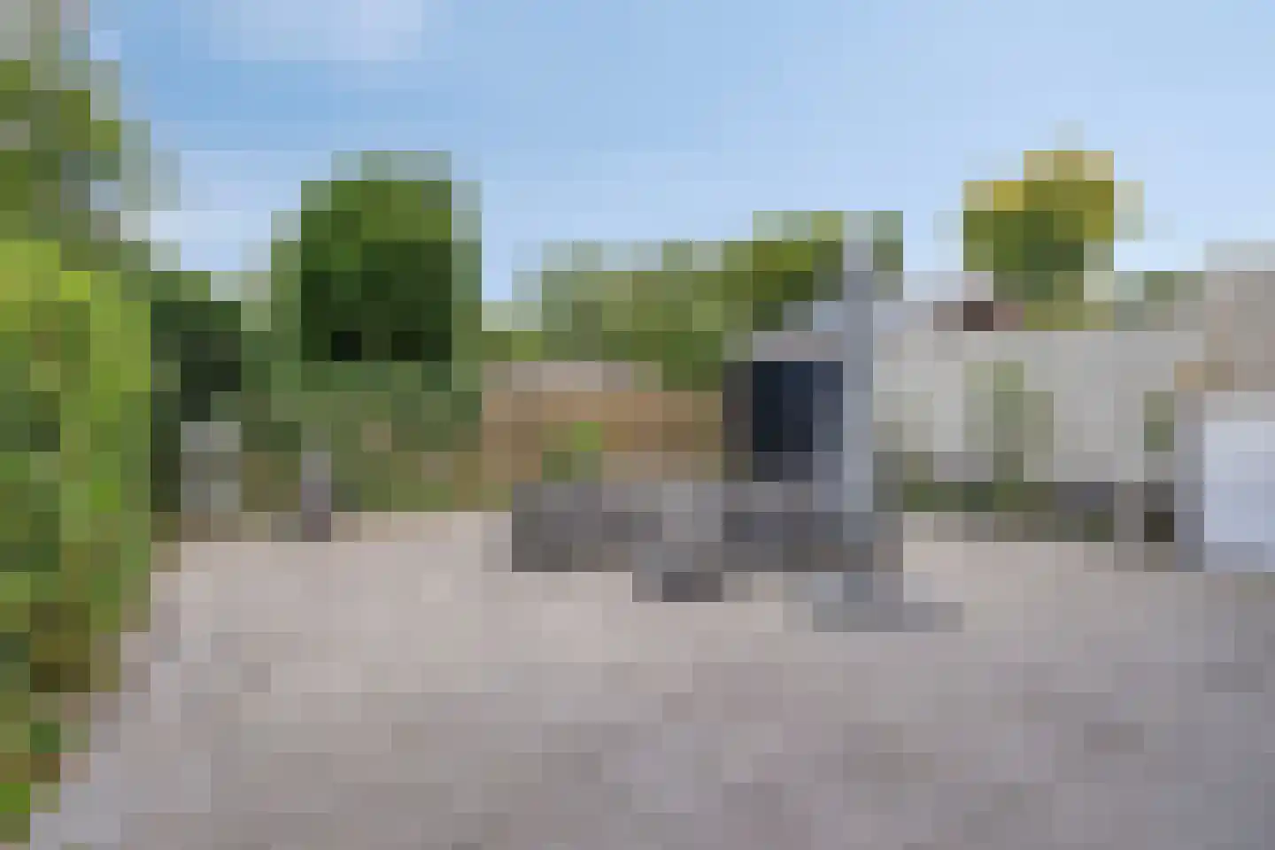Breukkruid 5 Veenendaal thumbnail 4