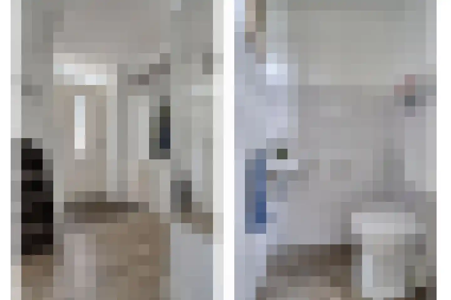 Breukkruid 5 Veenendaal thumbnail 8