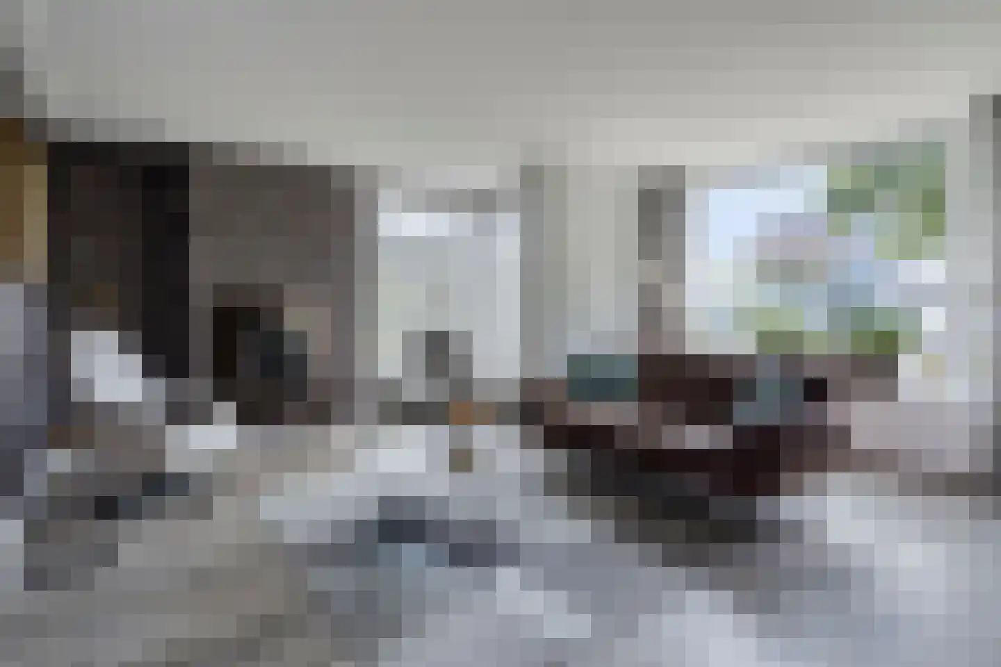 Breukkruid 5 Veenendaal thumbnail 9