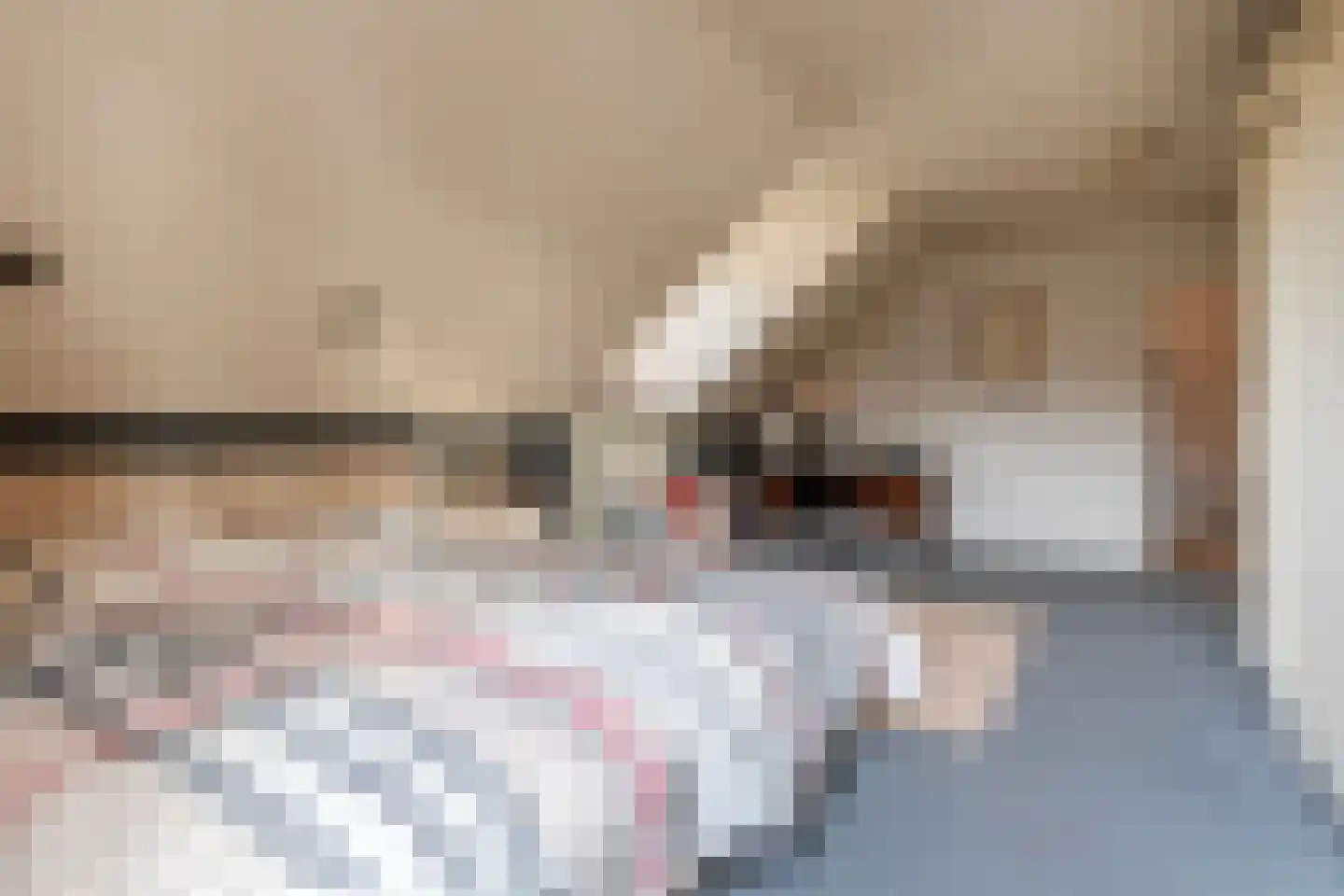 Breukrand 113 Uden thumbnail 27