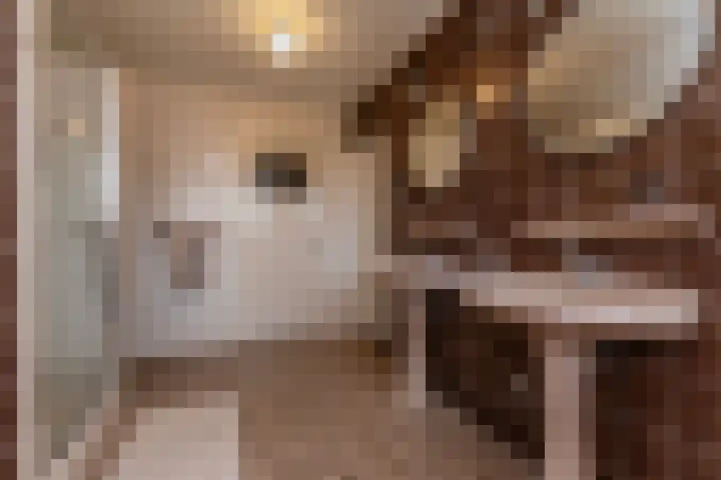 Breukrand 113 Uden thumbnail 31