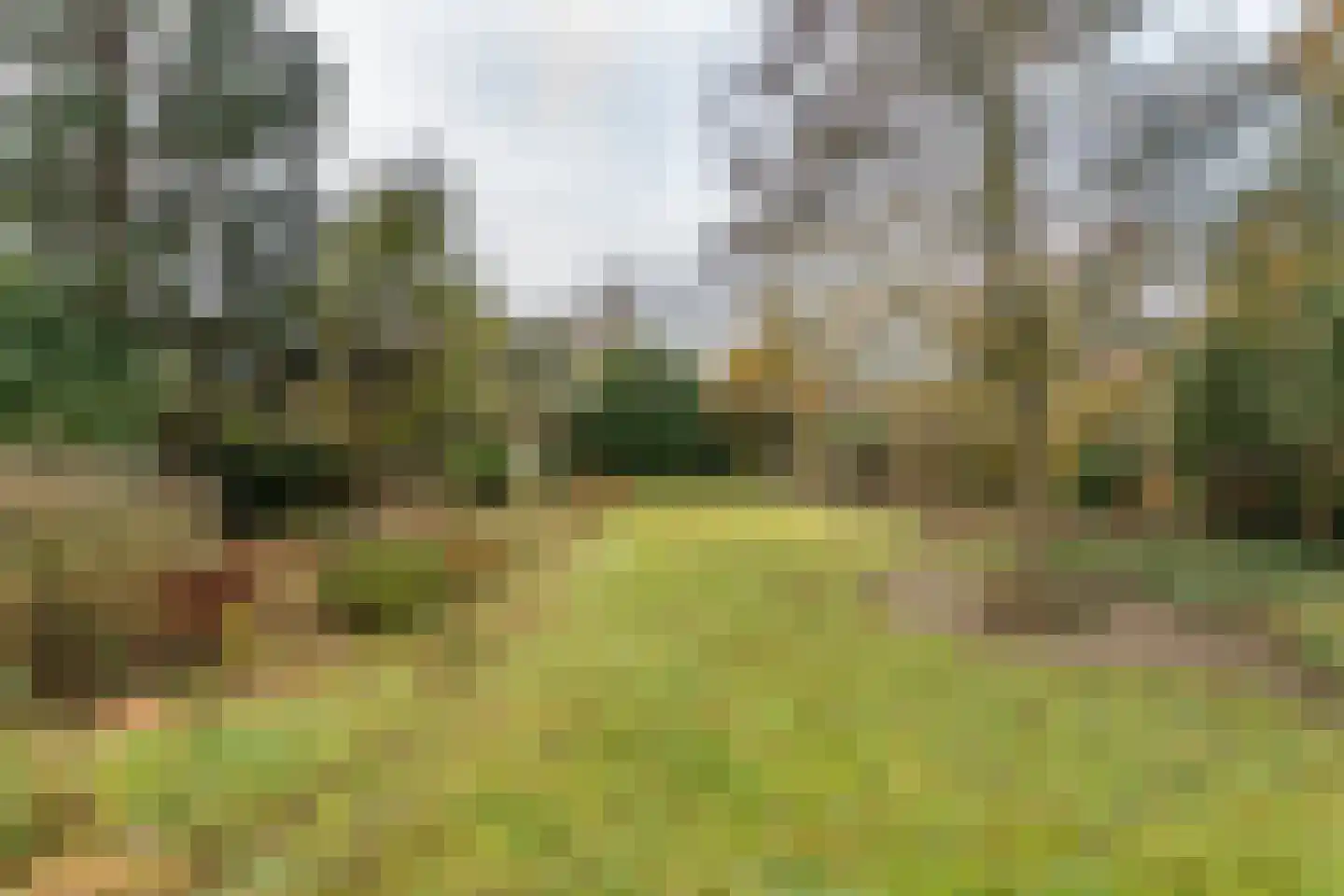 Breukrand 113 Uden thumbnail 38
