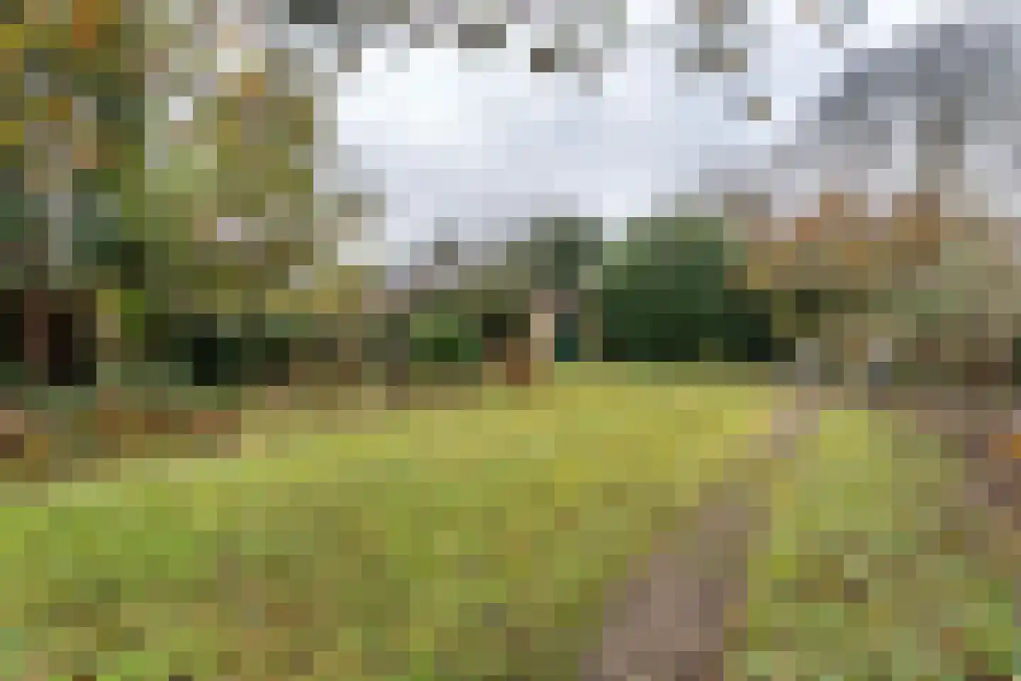 Breukrand 113 Uden thumbnail 39