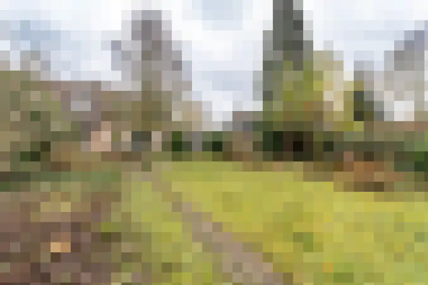 Breukrand 113 Uden thumbnail 40