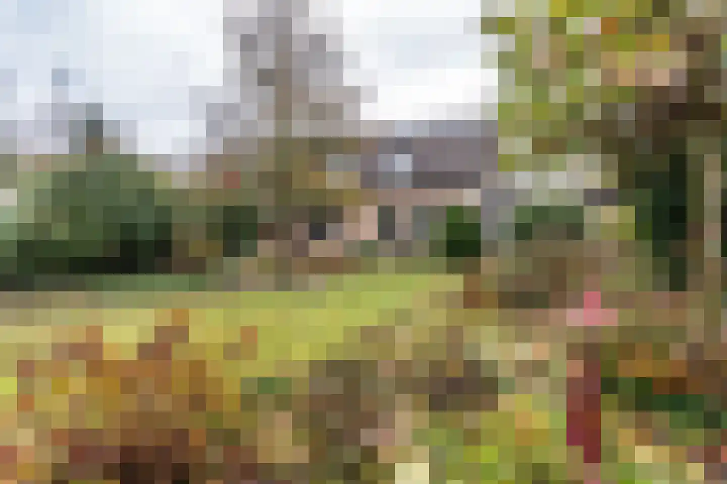 Breukrand 113 Uden thumbnail 42