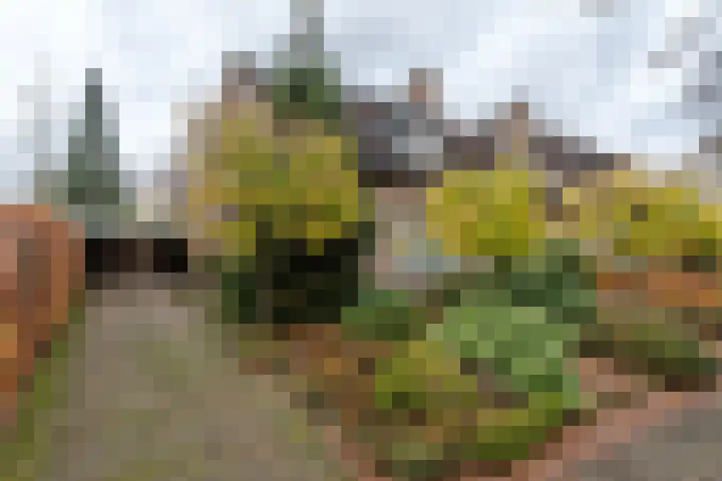 Breukrand 113 Uden thumbnail 8