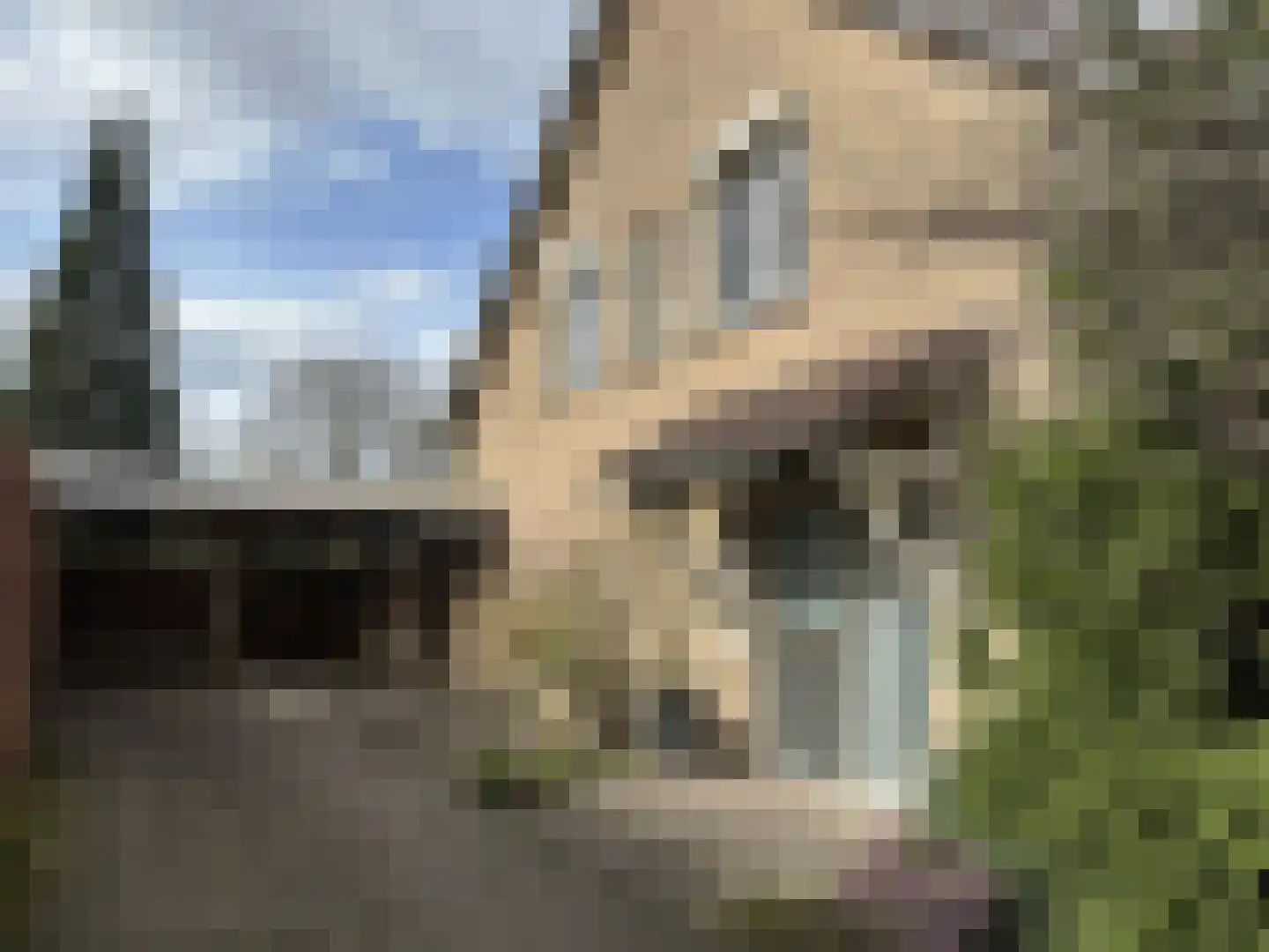 Breukrand 113 Uden thumbnail 9
