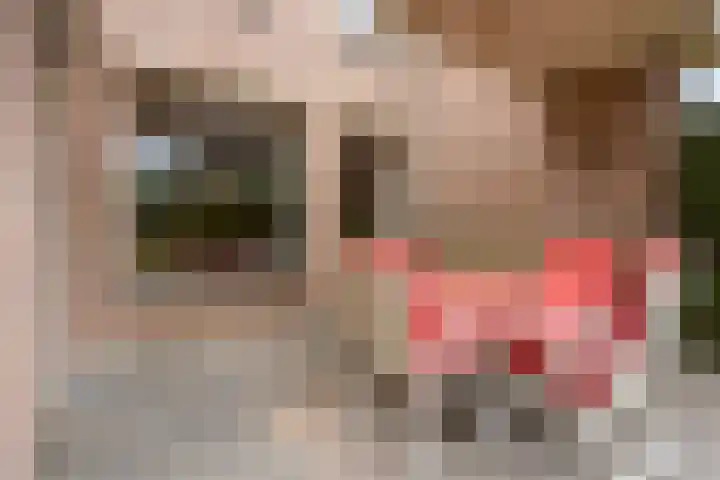 Breukrand 305 Uden thumbnail 30