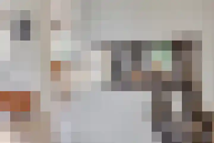 Breukrand 401 Uden thumbnail 13