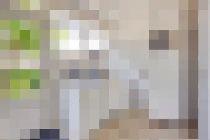 Breukrand 401 Uden thumbnail 22