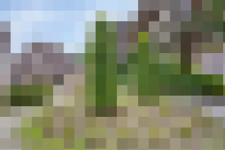 Breukrand 401 Uden thumbnail 39